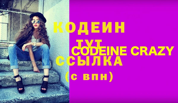 гашик Шенкурск