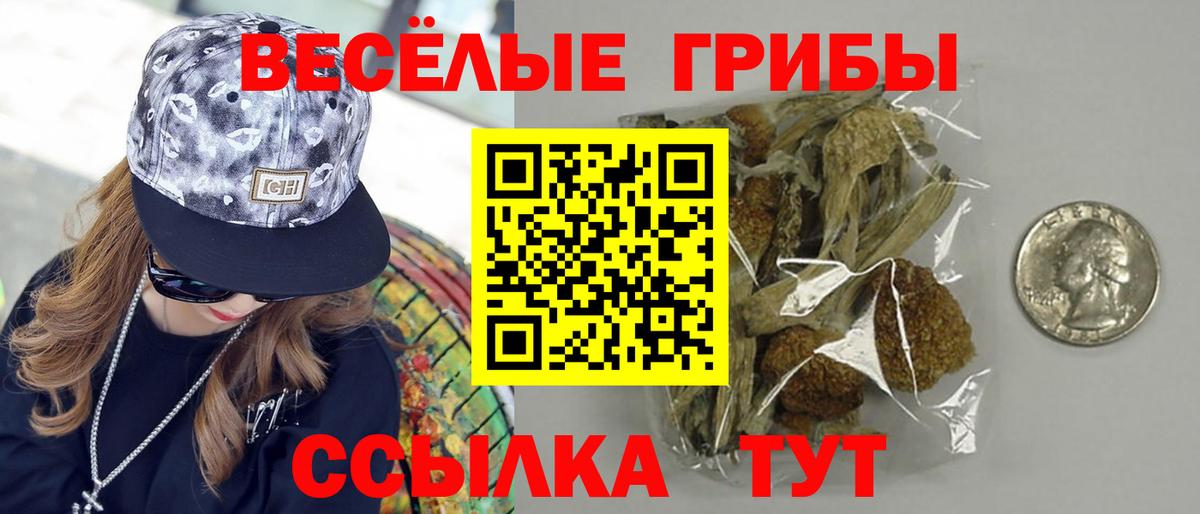 Псилоцибиновые грибы прущие грибы Краснокаменск