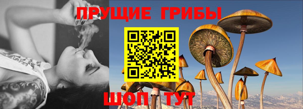 как найти закладки  Вход с VPN  Краснокаменск  Псилоцибиновые грибы MAGIC MUSHROOMS 