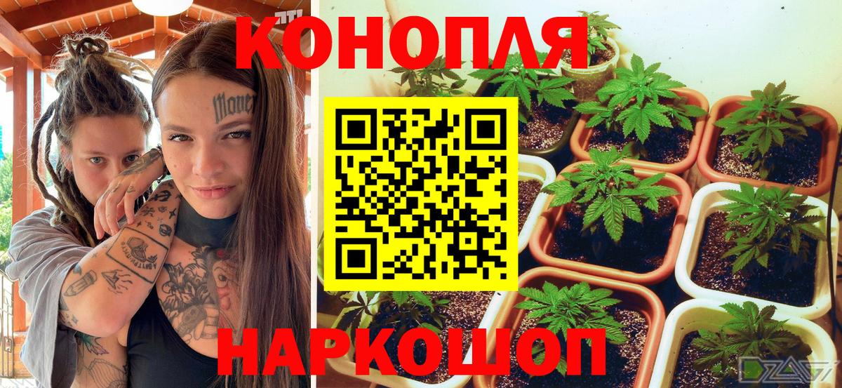 Краснокаменск  Шишки марихуана Ganja  Каннабис индика  Каннабис Bruce Banner  Вход с VPN 